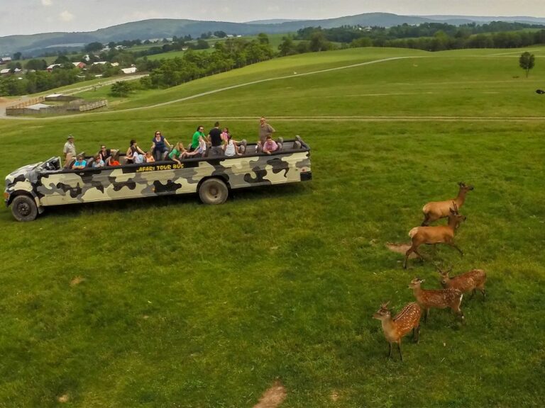 Read more about the article Exploring Lake Tobias Wildlife Park Near York County